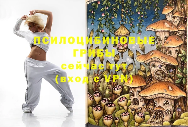 ALPHA-PVP Армянск