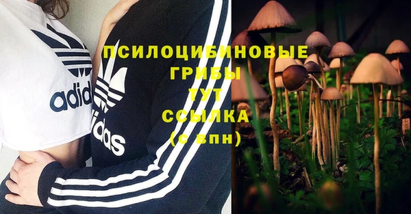 MESCALINE Арсеньев