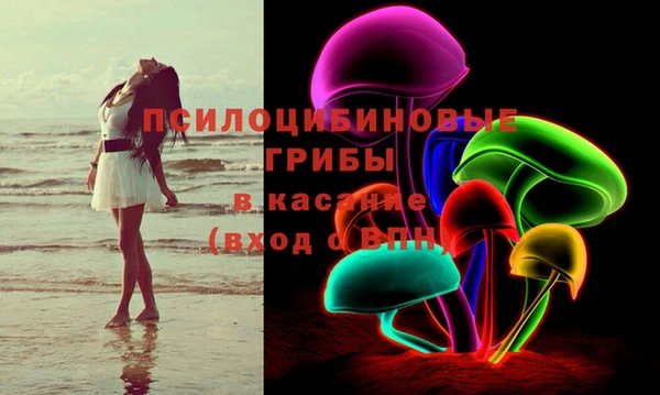 винт Елизово
