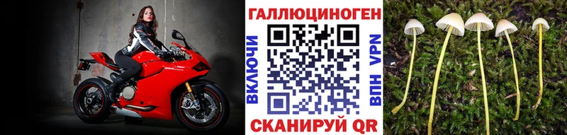 Псилоцибиновые грибы GOLDEN TEACHER  что такое   Светлоград 